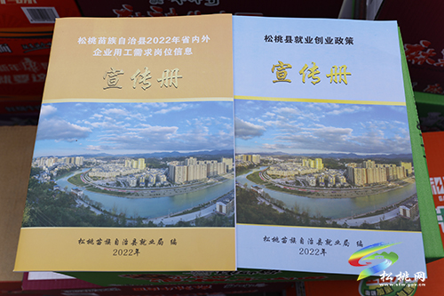 【新春走基層】松桃：脫貧勞動(dòng)力返崗就業(yè)免費(fèi)乘車