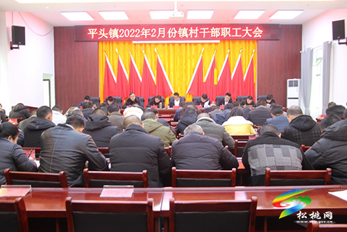 【聚焦國發(fā)2號文件】平頭鎮(zhèn)召開2022年2月份鎮(zhèn)村干部職工大會