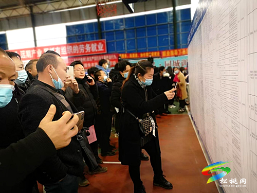 松桃“三強(qiáng)化”做好春節(jié)務(wù)工返崗就業(yè)