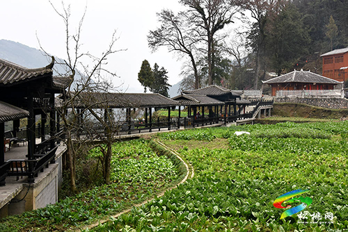 松桃到德江考察特色田園鄉(xiāng)村建設