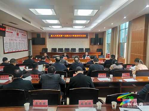 縣人大常委會機關(guān)黨支部召開2021年度組織生活會