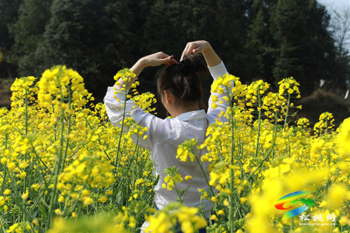 “醉”美花海  待你而來(lái)