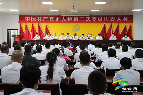 苗鄉(xiāng)大地黨旗紅——2021年全縣組織工作綜述