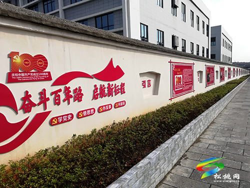 苗鄉(xiāng)大地黨旗紅——2021年全縣組織工作綜述