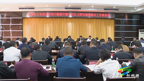 全縣土地違法問題整改暨亂占耕地建房整治工作推進(jìn)會召開