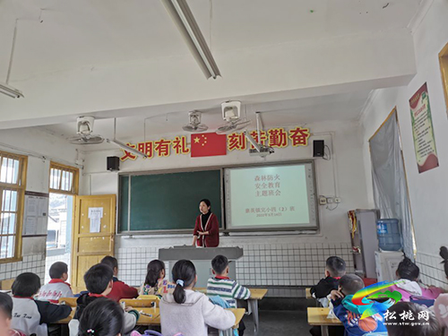 寨英鎮(zhèn)教育系統(tǒng)多舉措開(kāi)展“森林防火”知識(shí)宣傳