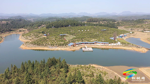 正大鎮(zhèn)長征村：黨建引領(lǐng)創(chuàng)新路 “致富果”下種“黃金”