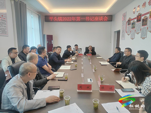 ​平頭鎮(zhèn)召開2022年駐村第一書記座談會