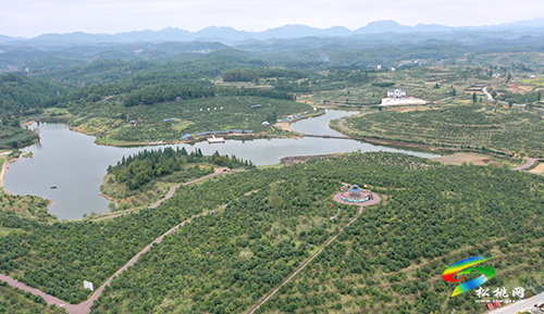 匯聚巾幗群英 逐夢大美苗鄉(xiāng)——記松桃苗族自治縣女企業(yè)家協(xié)會(huì)成立