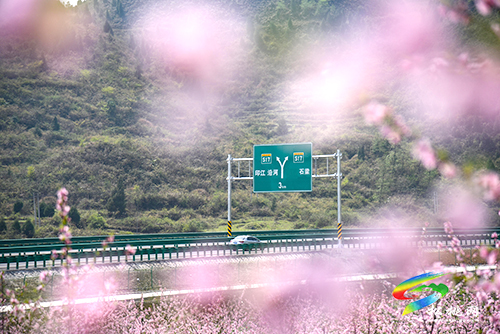松桃：陽(yáng)春三月賞桃花 農(nóng)旅融合助增收
