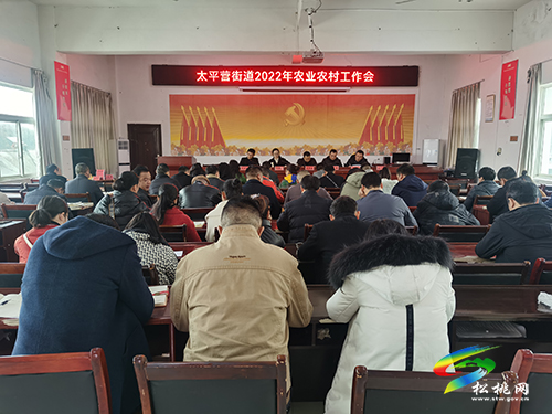 太平營街道：不負(fù)春光搶農(nóng)時，多措并舉保春耕