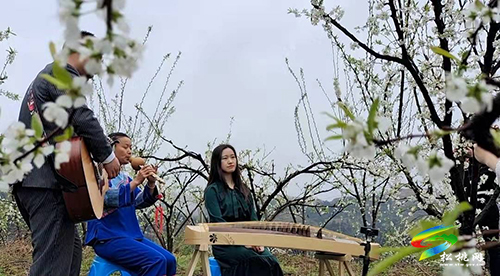 當(dāng)音樂(lè)遇上鮮花 | 巧用文創(chuàng)提高旅游愉悅性