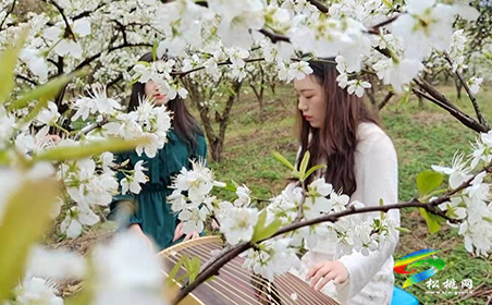 當(dāng)音樂(lè)遇上鮮花 | 巧用文創(chuàng)提高旅游愉悅性
