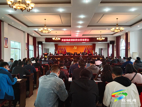 黃板鎮(zhèn)：構(gòu)建“四網(wǎng)”格局，全力筑牢疫情防控安全屏障