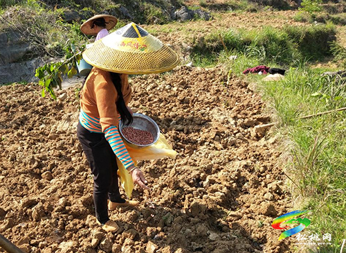 長(zhǎng)興堡鎮(zhèn)：“五個(gè)到位”繪就春季農(nóng)忙圖