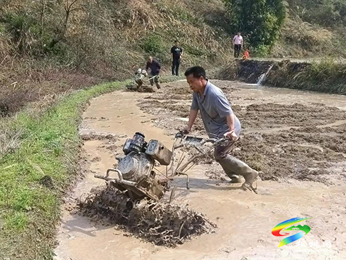 長(zhǎng)興堡鎮(zhèn)：“五個(gè)到位”繪就春季農(nóng)忙圖
