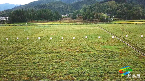 松桃：黨建引領溫暖就業(yè)路