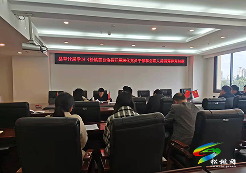 松桃審計局“三個一”舉措促進(jìn)黨員干部和公職人員酒駕醉駕問題集中整治工作