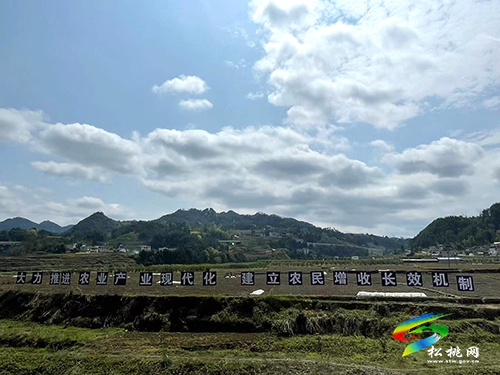 妙隘鄉(xiāng)：“三舉措”優(yōu)化產(chǎn)業(yè)布局，開創(chuàng)鄉(xiāng)村振興新篇章