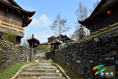 正大鎮(zhèn)“三強化”推進特色田園鄉(xiāng)村建設