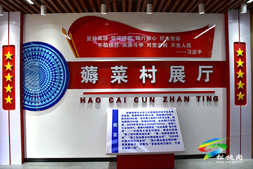 正大鎮(zhèn)“三強化”推進特色田園鄉(xiāng)村建設