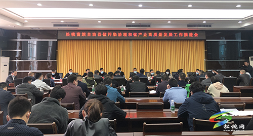 ​松桃召開錳污染治理和錳產(chǎn)業(yè)高質(zhì)量發(fā)展工作推進(jìn)會(huì)