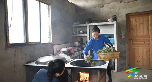【網(wǎng)絡(luò)中國(guó)節(jié)·清明】松桃正大鎮(zhèn)的清明粑火了，央視13頻道等媒體相繼報(bào)道，一起來(lái)學(xué)習(xí)清明粑怎么做