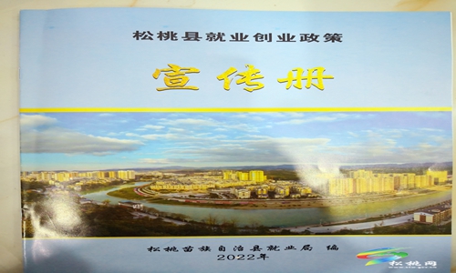 松桃“四招”夯實就業(yè)渠道