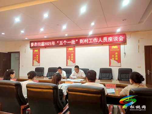 蓼皋街道：建強(qiáng)三支隊(duì)伍，為鄉(xiāng)村振興提速