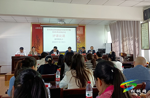 普覺集團校聯(lián)合開展小學部分學科教學研討活動