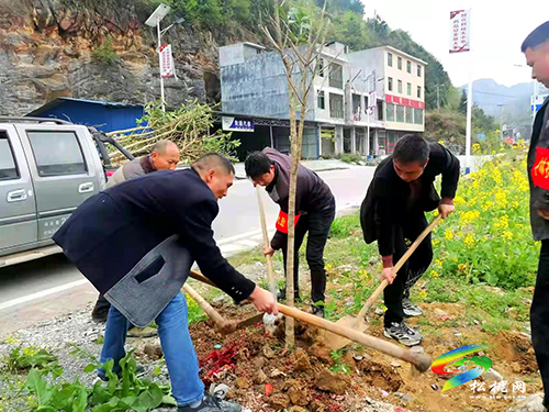 甘龍鎮(zhèn)：讓風(fēng)景走進村莊讓綠色點亮鄉(xiāng)村