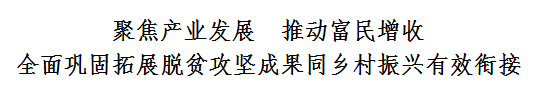 龍群躍到長坪盤石調研時強調