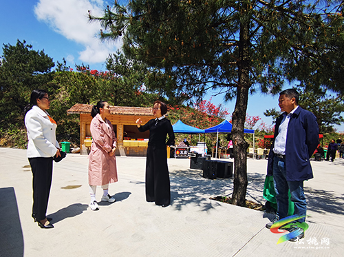 石小莉一行到長坪、盤信調(diào)研鄉(xiāng)村旅游產(chǎn)業(yè)發(fā)展工作