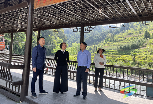 石小莉一行到長坪、盤信調(diào)研鄉(xiāng)村旅游產(chǎn)業(yè)發(fā)展工作