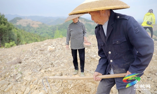 牛郎鎮(zhèn)：發(fā)展短效特色產業(yè)　助力村民多渠道增收