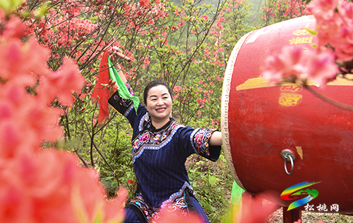 飛靈山杜鵑花競相綻放　大批游客紛至沓來