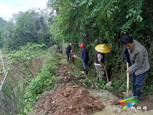 世昌街道：干群齊心，助力旱地變良田