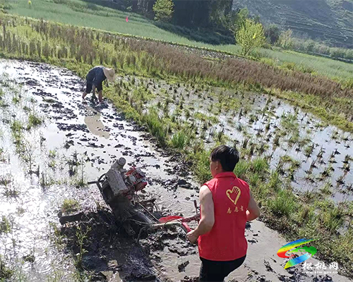 世昌街道：干群齊心，助力旱地變良田