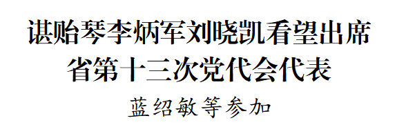 諶貽琴李炳軍劉曉凱看望出席省第十三次黨代會(huì)代表