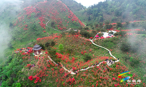 大美苗鄉(xiāng)迎賓朋——松桃全域旅游高質(zhì)量發(fā)展綜述