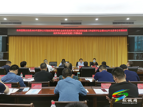 松桃苗族自治縣2021年度非公有制經(jīng)濟組織和社會組織黨組織書記抓基層黨建工作述職評議會暨2022年全縣非公有制經(jīng)濟組織和社會組織黨建工作推進會召開
