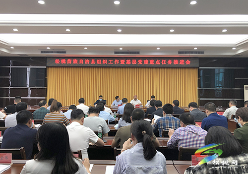 松桃組織工作暨基層黨建重點任務(wù)推進會召開
