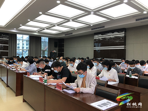 松桃組織工作暨基層黨建重點任務(wù)推進會召開