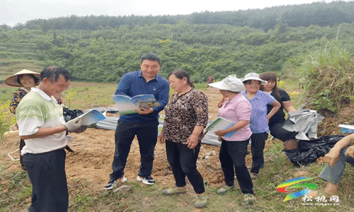 普覺鎮(zhèn)開展道路交通“打非治違”聯(lián)合專項整治行動