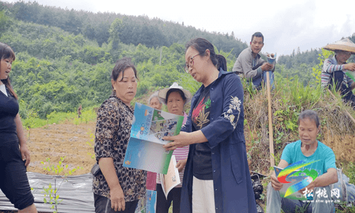 普覺鎮(zhèn)開展道路交通“打非治違”聯(lián)合專項整治行動