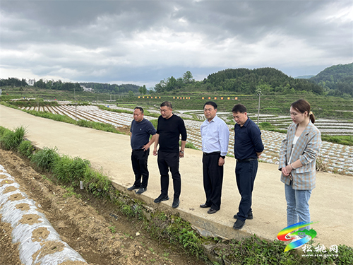 龍秀福到長坪鄉(xiāng)調研民族宗教、農業(yè)產業(yè)發(fā)展等工作