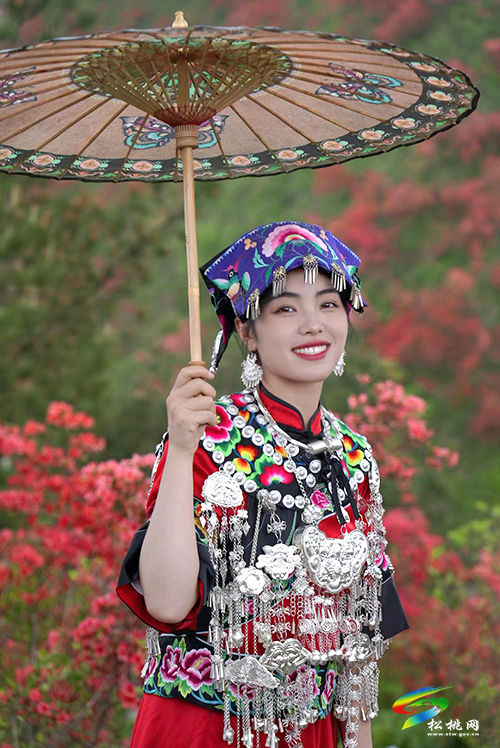 松桃：“聚V力助振興·松哥桃妹傳家鄉(xiāng)”擦亮大美苗鄉(xiāng)品牌