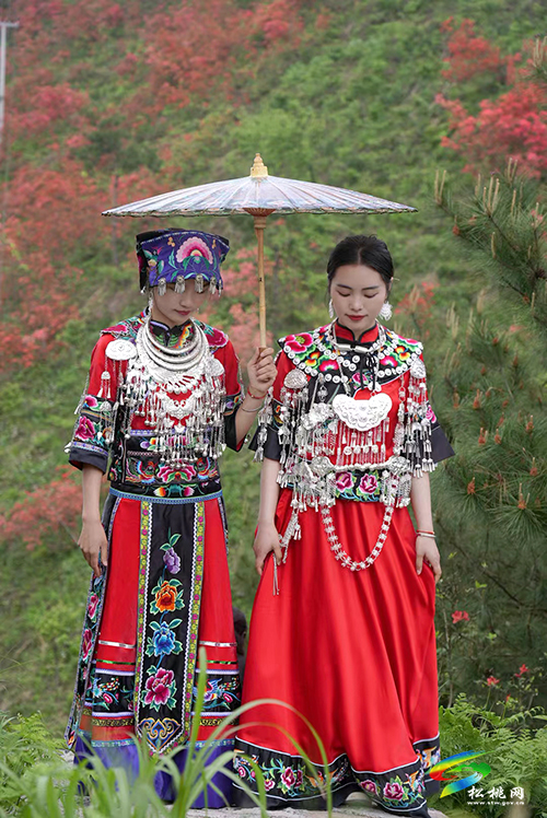 松桃：“聚V力助振興·松哥桃妹傳家鄉(xiāng)”擦亮大美苗鄉(xiāng)品牌