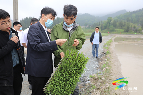 2022年全市農(nóng)業(yè)機(jī)械化現(xiàn)場推進(jìn)會(huì)召開