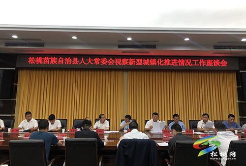 松桃人大常委會視察新型城鎮(zhèn)化推進情況并召開座談會